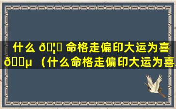 什么 🦍 命格走偏印大运为喜 🌵 （什么命格走偏印大运为喜忌）